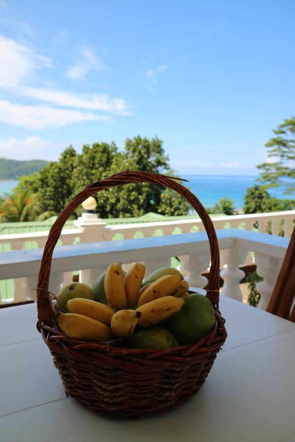 Seychelles Yellow Petals Anse Boileau Exteriör bild